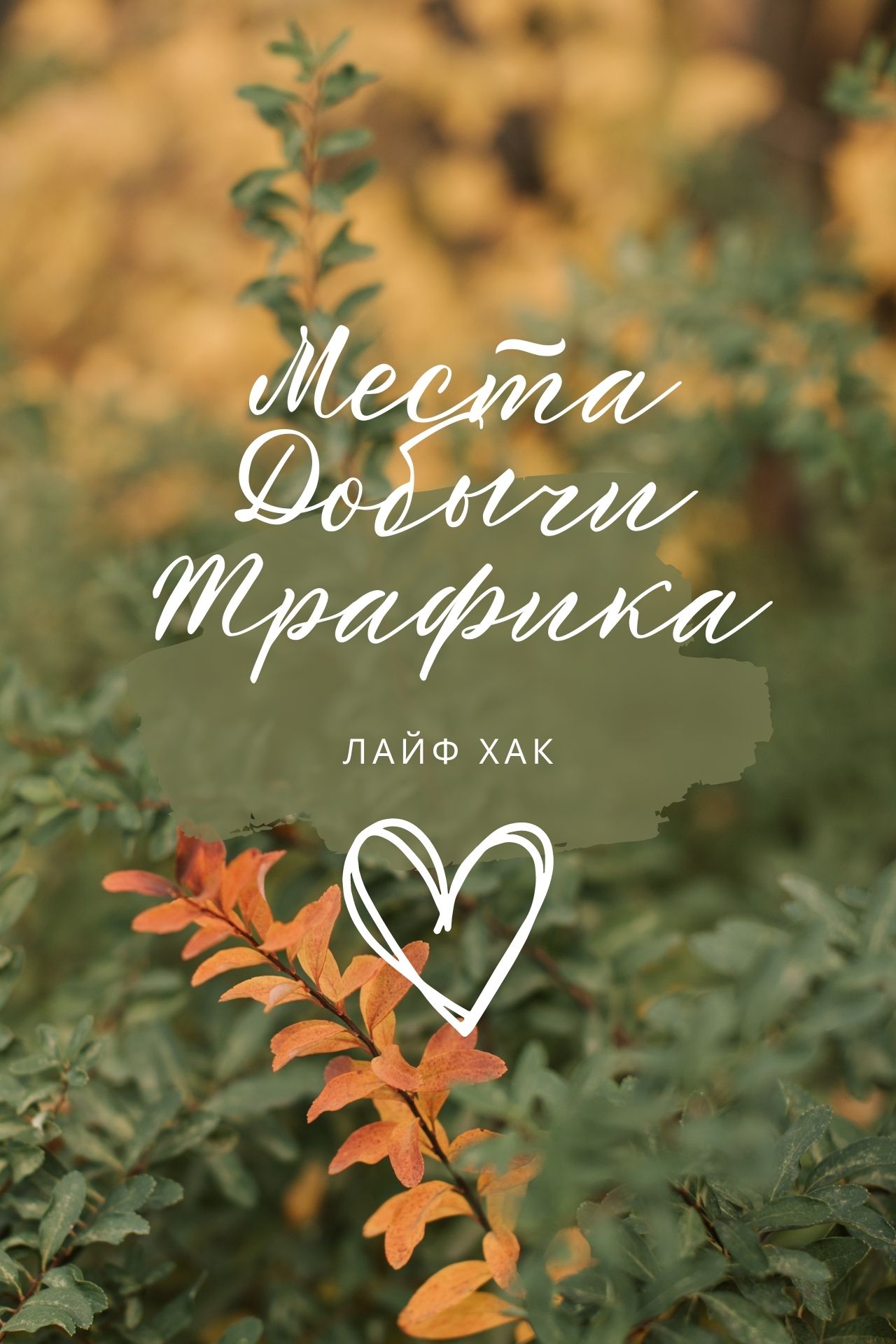 Места Добычи Трафика